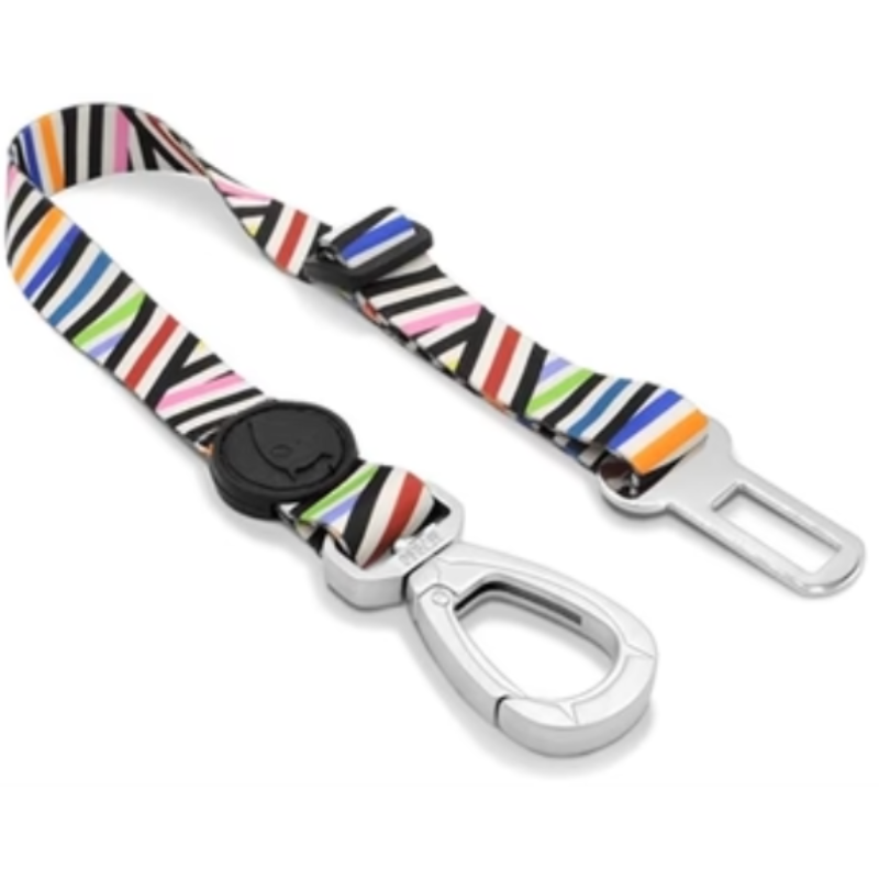 Morso Hund Auto Sicherheitsgurt Recycelt Spaghetti incident